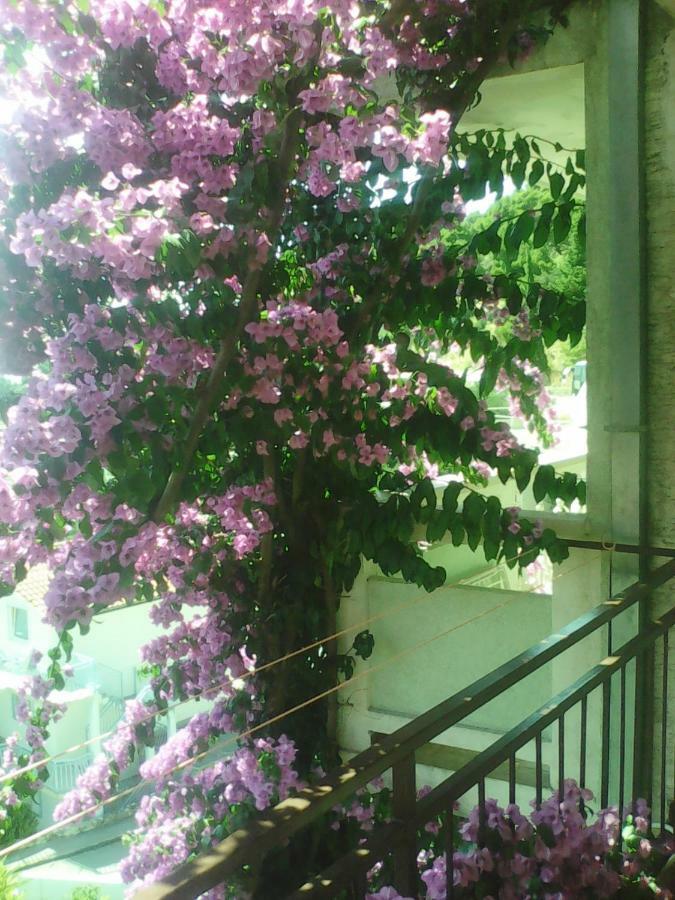 Apartmani Kelava Podgora Bagian luar foto